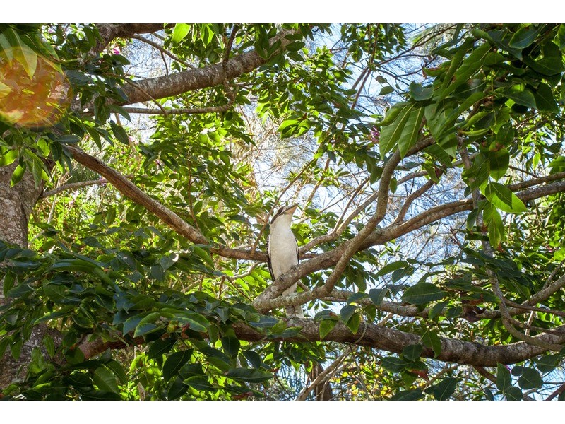 65 Helen  Street, South Golden Beach NSW 2483