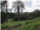999 The Tunnel Road, Billinudgel NSW 2483