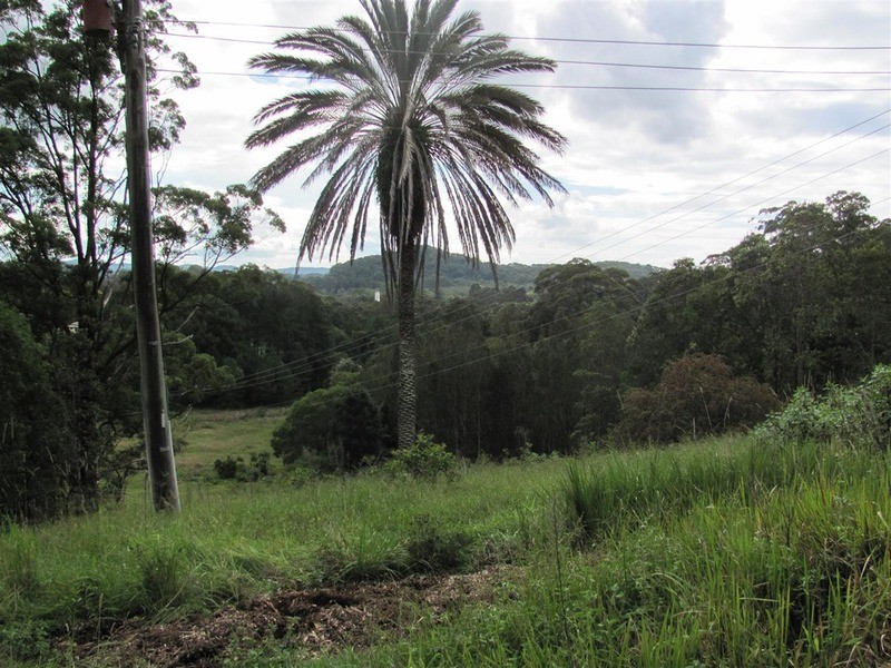 999 The Tunnel Road, Billinudgel NSW 2483