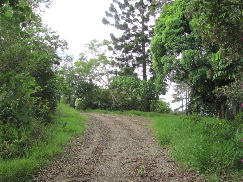 999 The Tunnel Road, Billinudgel NSW 2483