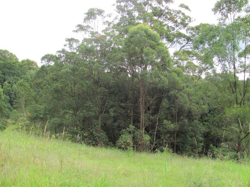 999 The Tunnel Road, Billinudgel NSW 2483