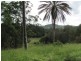 999 The Tunnel Road, Billinudgel NSW 2483