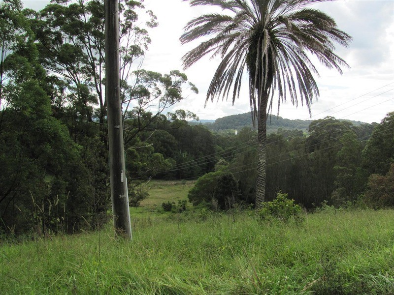 999 The Tunnel Road, Billinudgel NSW 2483