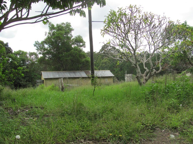999 The Tunnel Road, Billinudgel NSW 2483