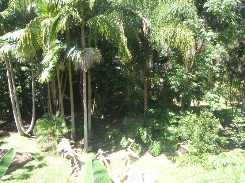 Ocean Shores NSW 2483