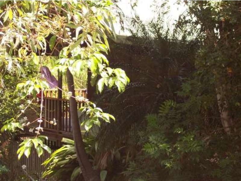 Ocean Shores NSW 2483