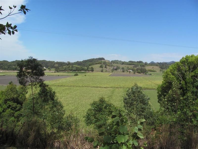 162 Hulls Road, Crabbes Creek NSW 2483