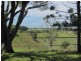 162 Hulls Road, Crabbes Creek NSW 2483