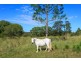 20 Bilin Road, Myocum NSW 2481