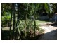 81 Rajah Road, Ocean Shores NSW 2483
