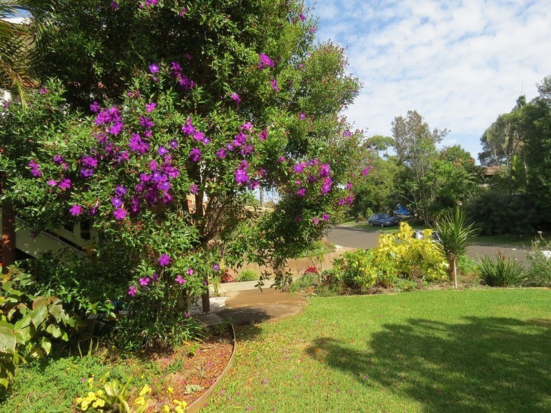 1/1 Nandroya Avenue, Ocean Shores NSW 2483