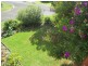 1/1 Nandroya Avenue, Ocean Shores NSW 2483