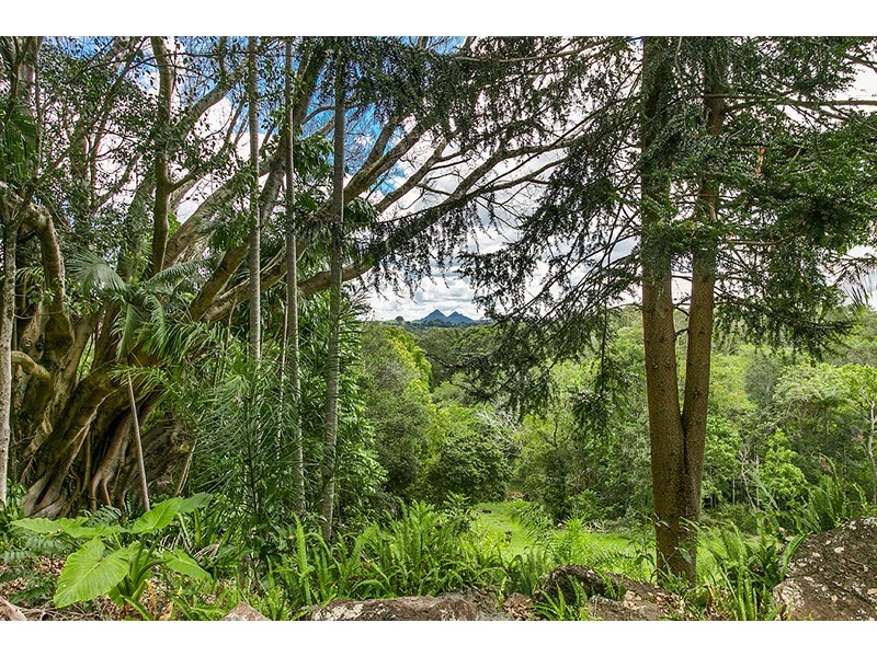 163 Tandys Lane, Brunswick Heads NSW 2483