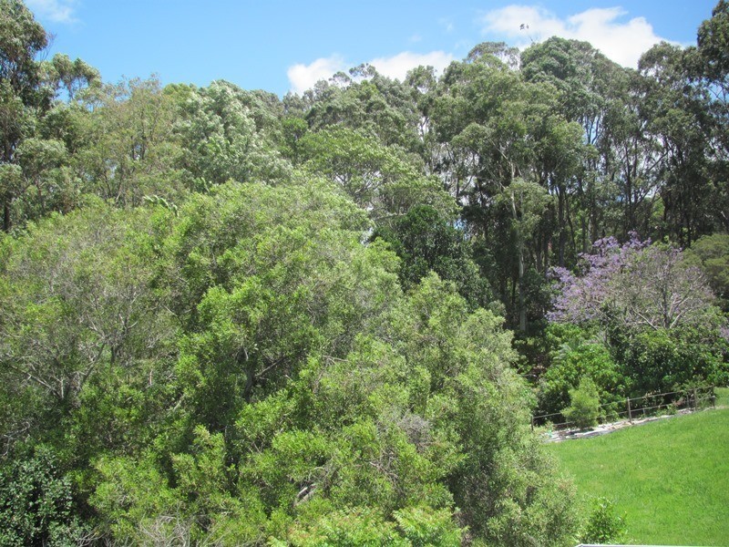 Ocean Shores NSW 2483