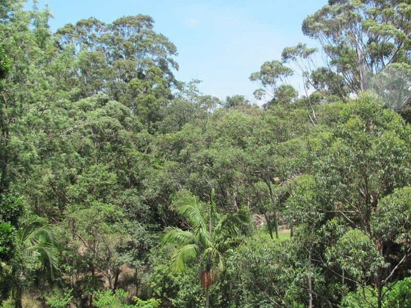 Ocean Shores NSW 2483