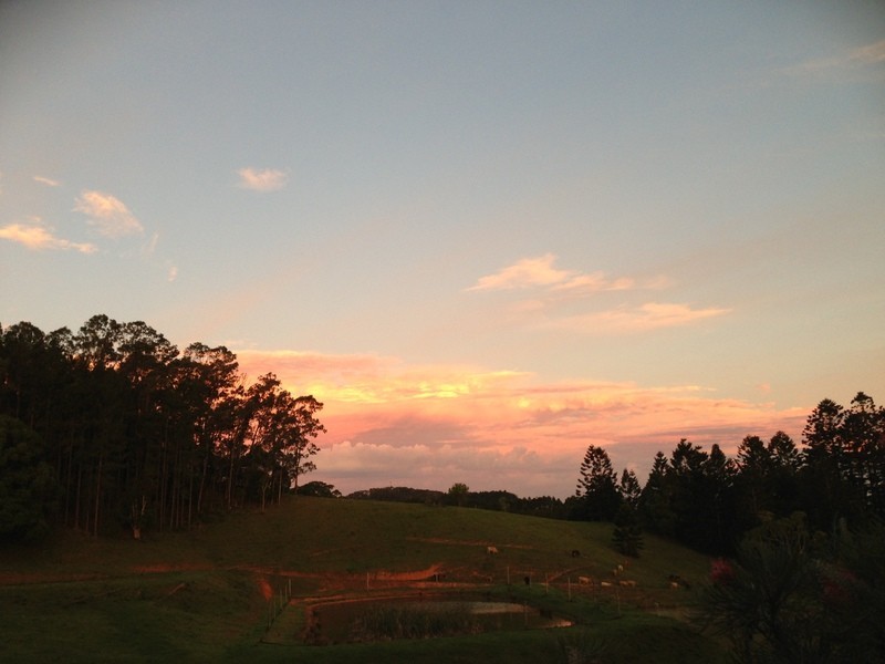 147 Pottsville Road, Mooball NSW 2483