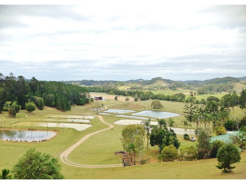 147 Pottsville Road, Mooball NSW 2483