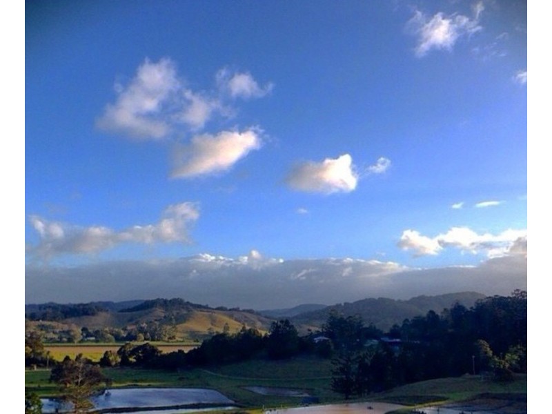 147 Pottsville Road, Mooball NSW 2483