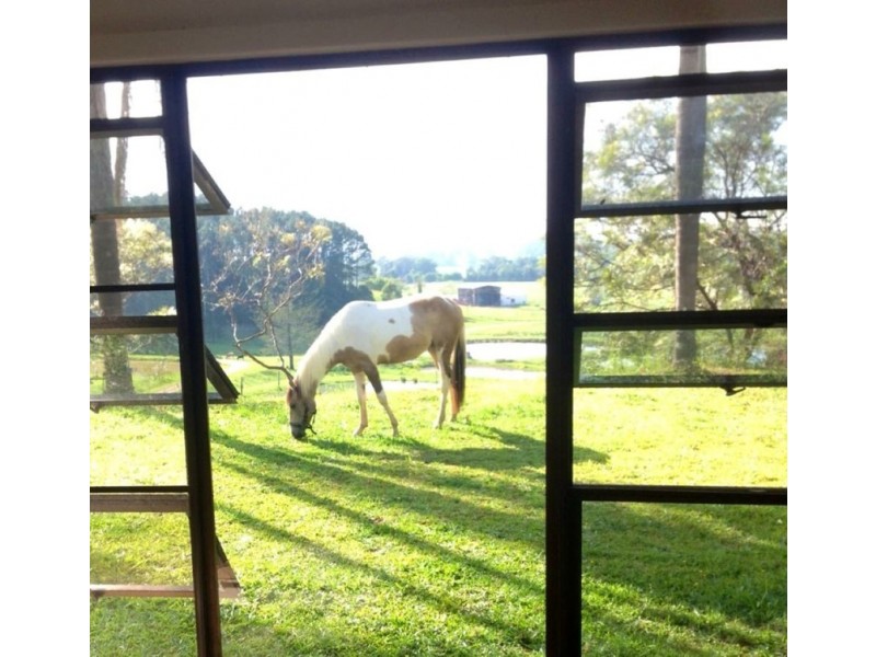 147 Pottsville Road, Mooball NSW 2483