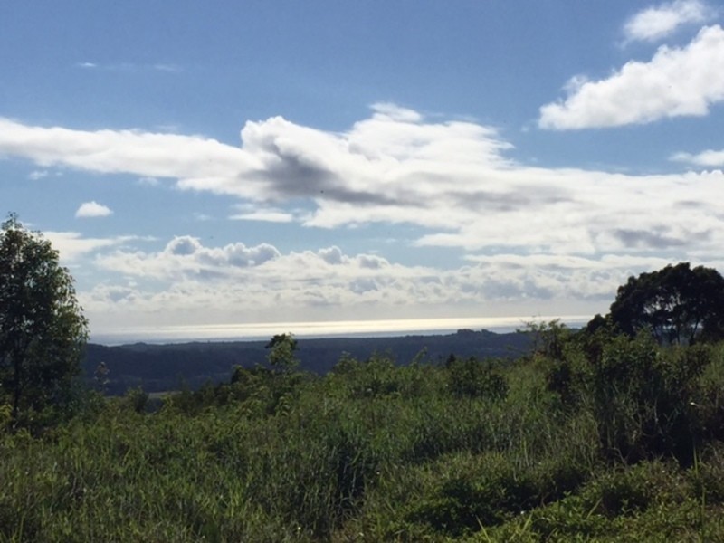 210 Frasers Road, Mullumbimby Creek NSW 2482