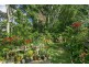 2 Left Bank Road, Mullumbimby NSW 2482