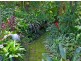 2 Left Bank Road, Mullumbimby NSW 2482