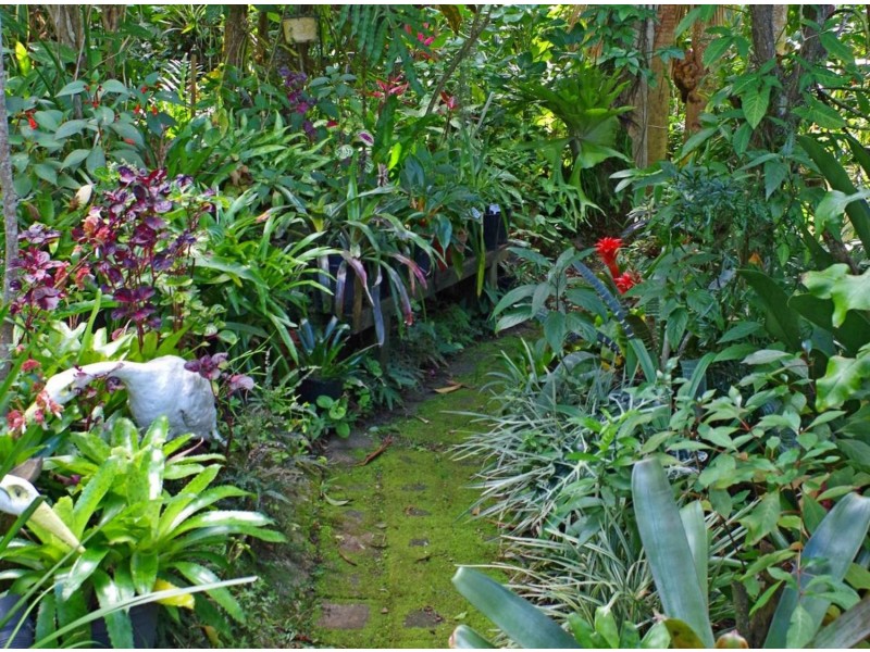 2 Left Bank Road, Mullumbimby NSW 2482