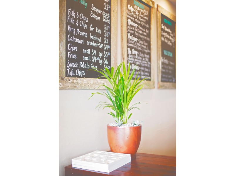 10 The Terrace, Brunswick Heads NSW 2483