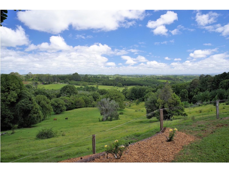 519 Pearces Creek Road, Alstonvale NSW 2477