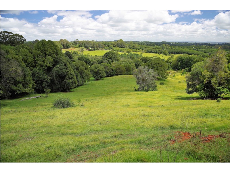 519 Pearces Creek Road, Alstonvale NSW 2477