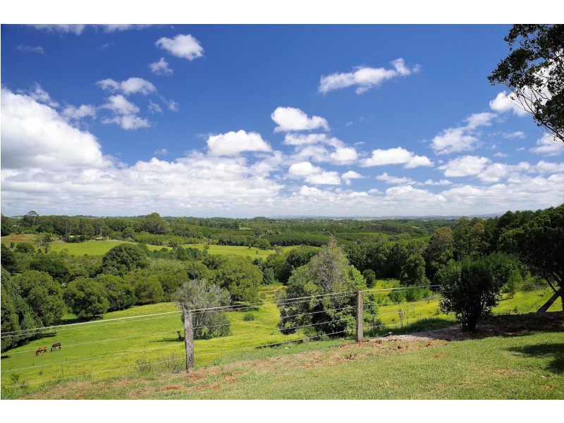 519 Pearces Creek Road, Alstonvale NSW 2477