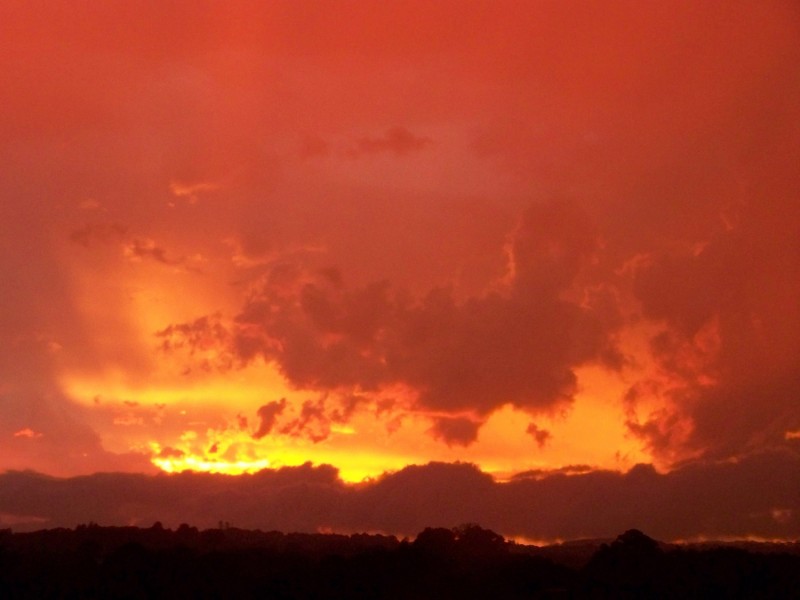 519 Pearces Creek Road, Alstonvale NSW 2477