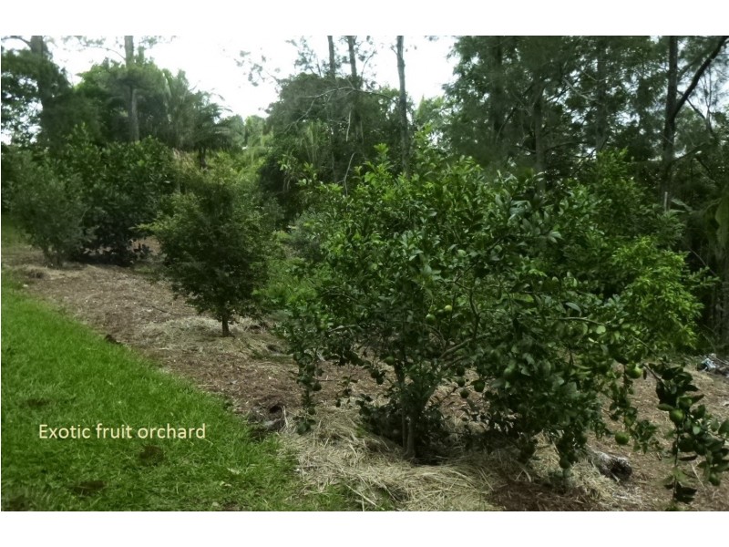 519 Pearces Creek Road, Alstonvale NSW 2477