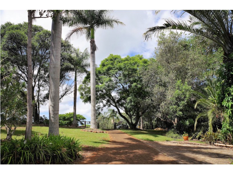 519 Pearces Creek Road, Alstonvale NSW 2477