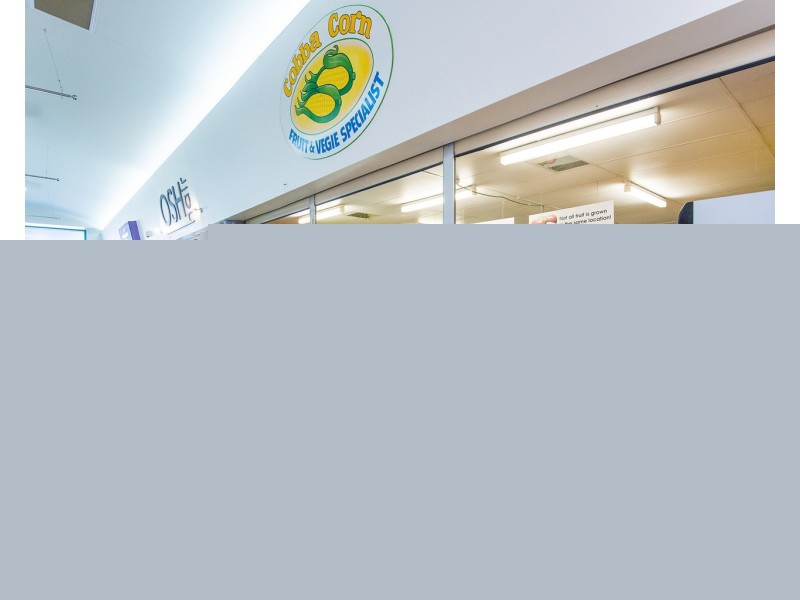 Ocean Shores NSW 2483