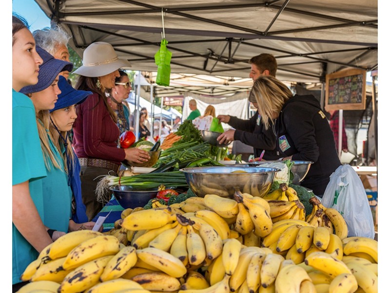 Lot Lot 2, 78 Redgate Road, South Golden Beach NSW 2483