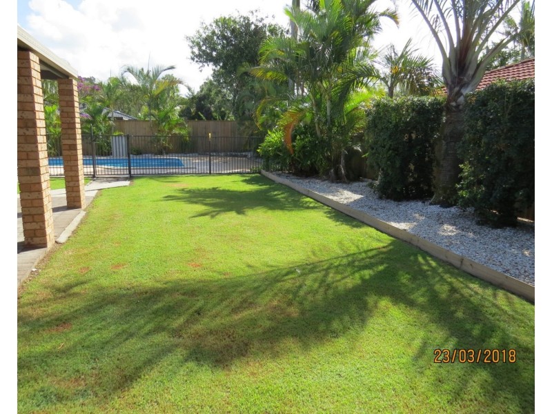 41 Kallaroo Circuit, Ocean Shores NSW 2483