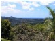 3 Left Bank Road, Mullumbimby NSW 2482