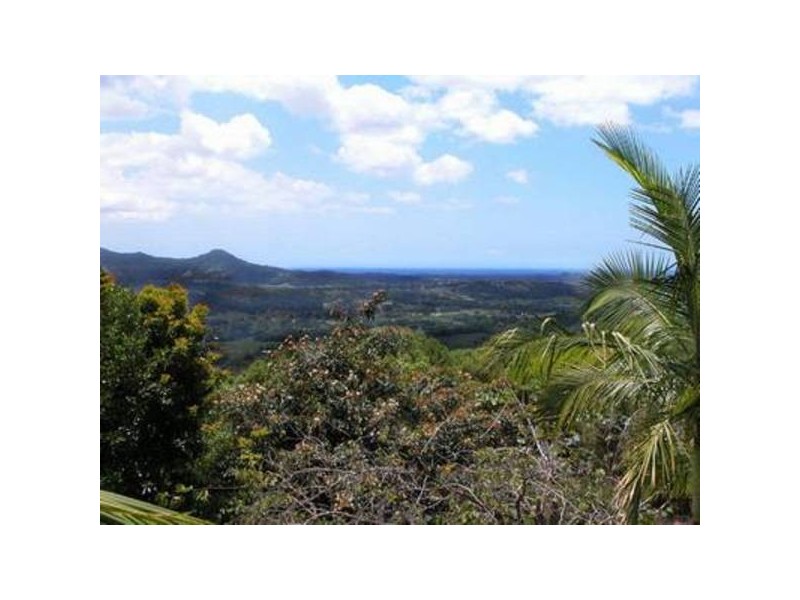 3 Left Bank Road, Mullumbimby NSW 2482