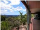 3 Left Bank Road, Mullumbimby NSW 2482