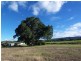 256 Main Arm Road, Mullumbimby NSW 2482