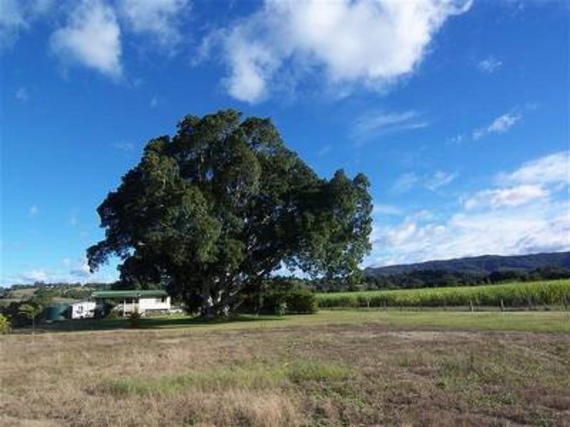 256 Main Arm Road, Mullumbimby NSW 2482
