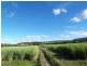 256 Main Arm Road, Mullumbimby NSW 2482