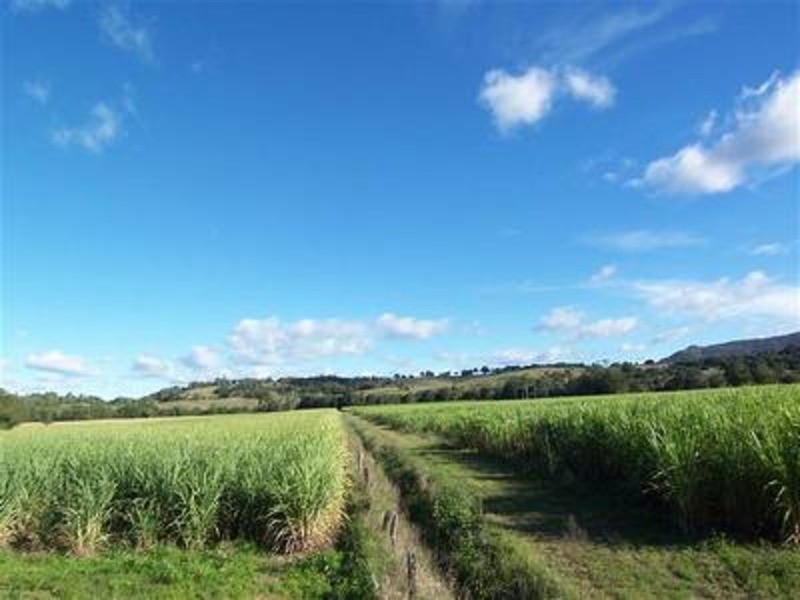 256 Main Arm Road, Mullumbimby NSW 2482
