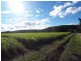 256 Main Arm Road, Mullumbimby NSW 2482
