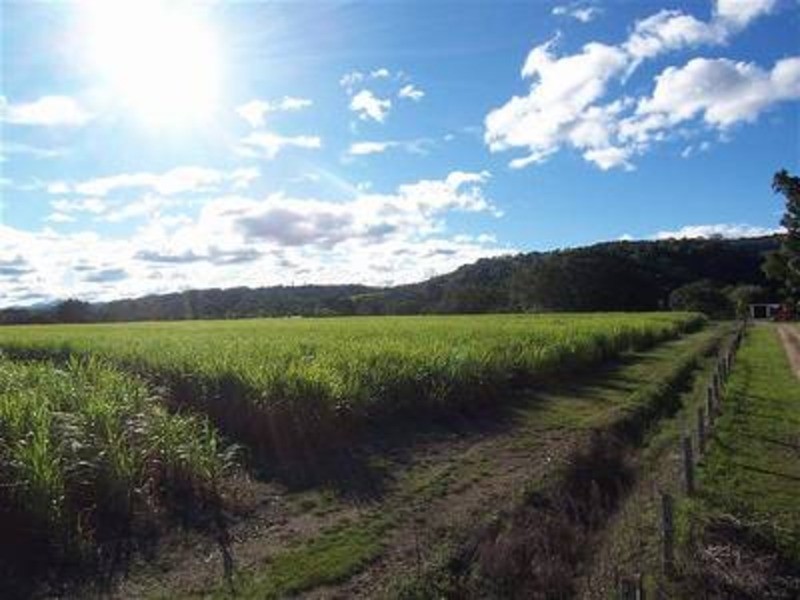 256 Main Arm Road, Mullumbimby NSW 2482