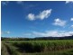256 Main Arm Road, Mullumbimby NSW 2482