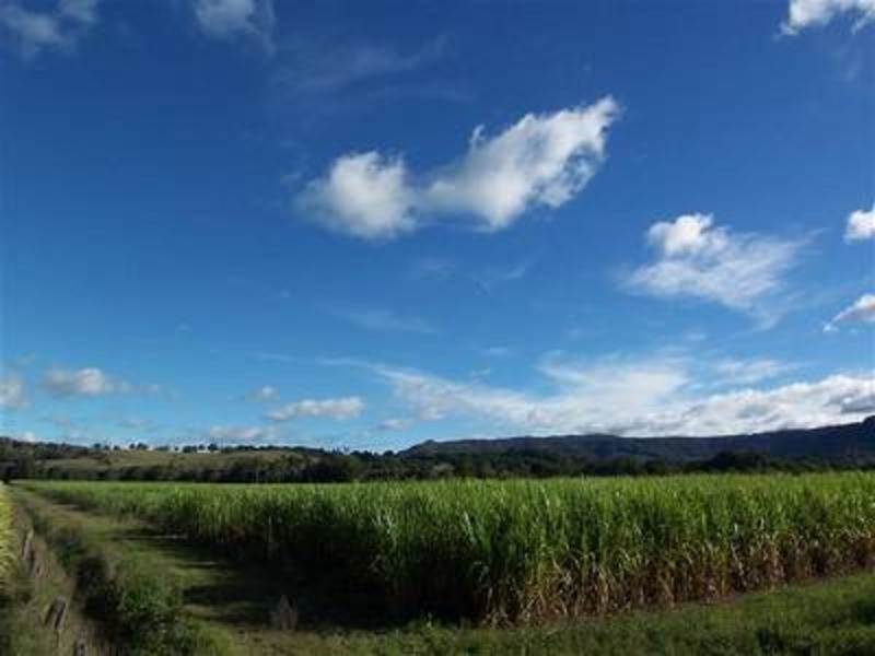 256 Main Arm Road, Mullumbimby NSW 2482