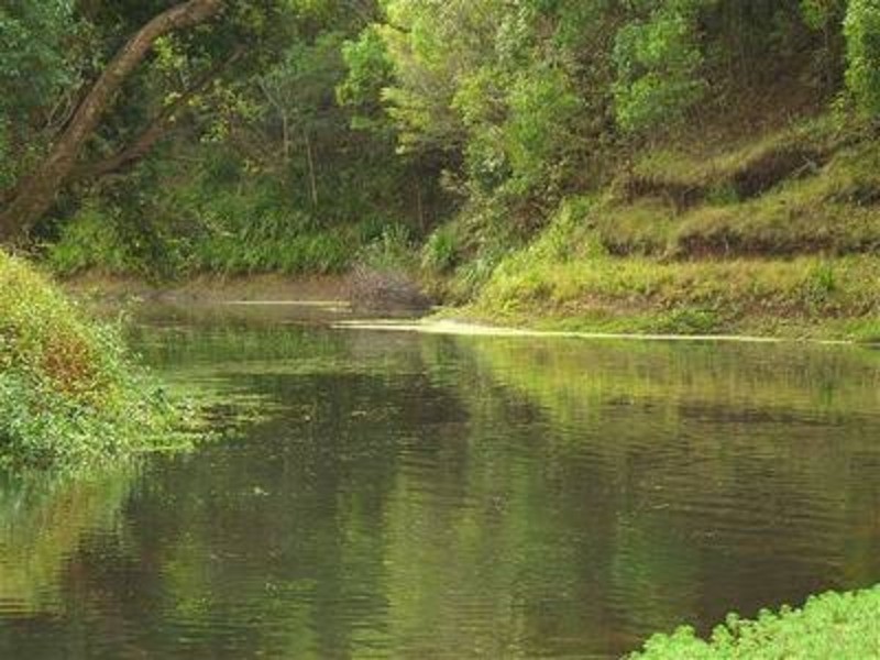 Lot 22 Booyong Road, Clunes NSW 2480