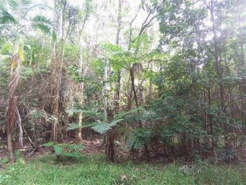 Lot 7 Benjamins Lane, Billinudgel NSW 2483